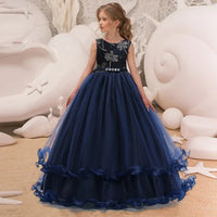 Girls Party Dress Bangladesh | Original Imported Elegant Princess Party Dress