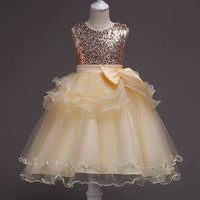 Girl Wedding Party Dress Bangladesh | Original Imported Elegant Princess Party Dress