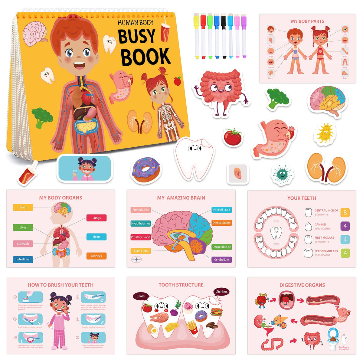 Busy Book for Cross-Border Kids: Busy Book for Toddlers & Preschoolers to Learn Body Structure, Early Education Cognition