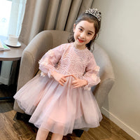 Girls' Autumn Dress 2025 New Autumn Collection Children's Lace Princess Dress Stylish Girl's Tulle Skirt Mesh Skirt