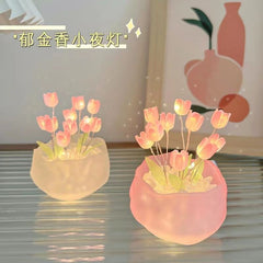 Pumpkin Cup Tulip | Baby's World Bangladesh