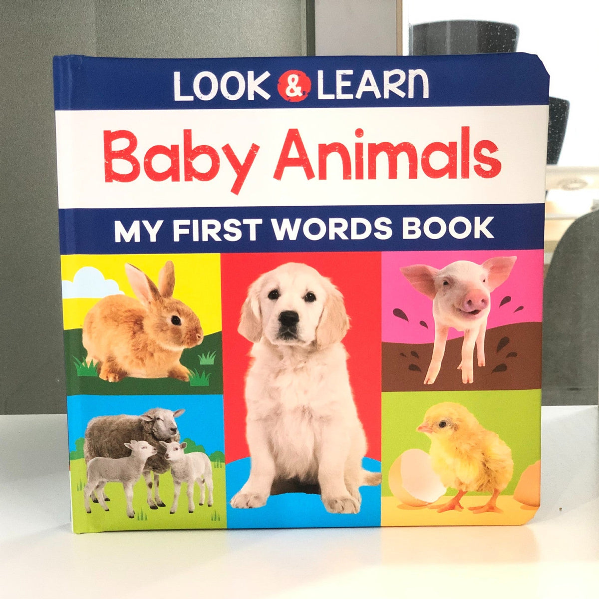 Original English Picture Books with Audio, Choose from the Young Children Series of English Picture Books and English Reading Materials for Children