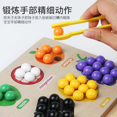 Montessori Wooden Fun Fruit Classification Matching Clip Jewelry Color Recognition Fine Hand Movement Educational Toy
