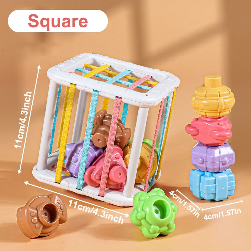 Montessori Toys 18 - Montessori Baby Toys 18 Months Sensory Development Learning Educational Toys Colorful Blocks Sorting