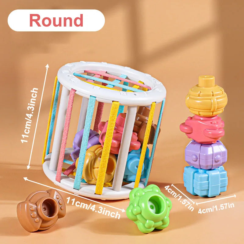Montessori Toys 18 - Montessori Baby Toys 18 Months Sensory Development Learning Educational Toys Colorful Blocks Sorting
