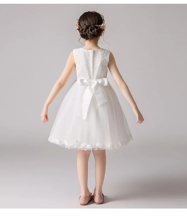 Girl's Princess dress Children's Day Birthday Party Lace Bubble skirt Summer style Dress