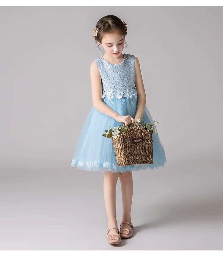 Girl's Princess dress Children's Day Birthday Party Lace Bubble skirt Summer style Dress