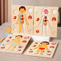 Montessori Human Body Puzzles Busy Board | Baby's World Bangladesh