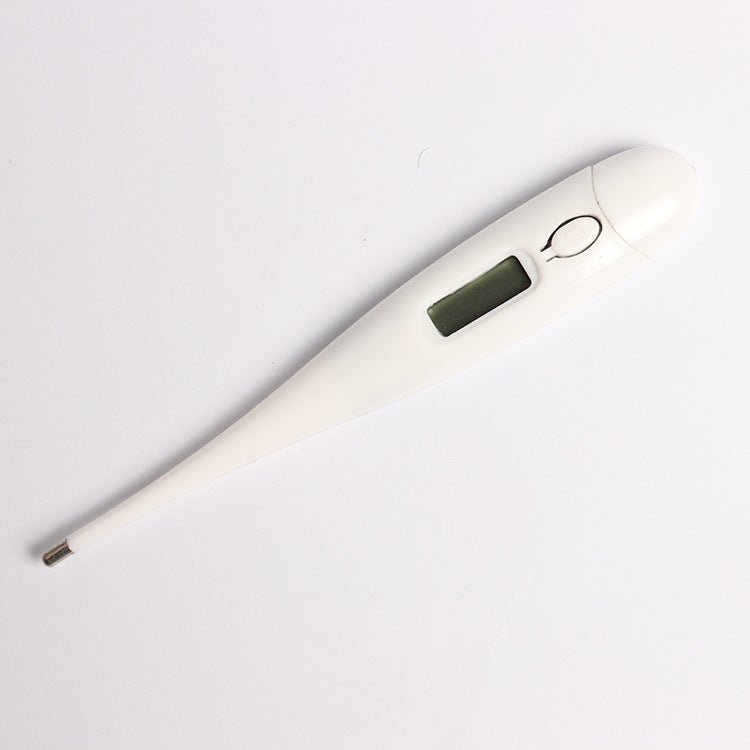 Electronic thermometer - BaBy's World