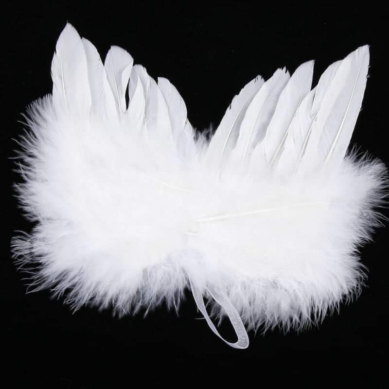 Children’s Christmas feather angel wings