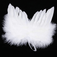 Children’s Christmas feather angel wings