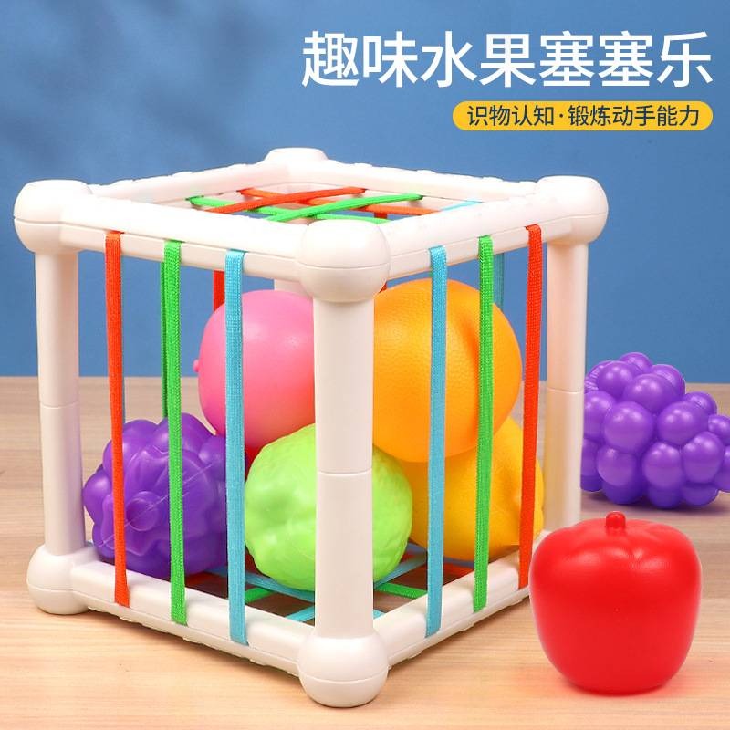 Montessori Motor Skill Development Toy